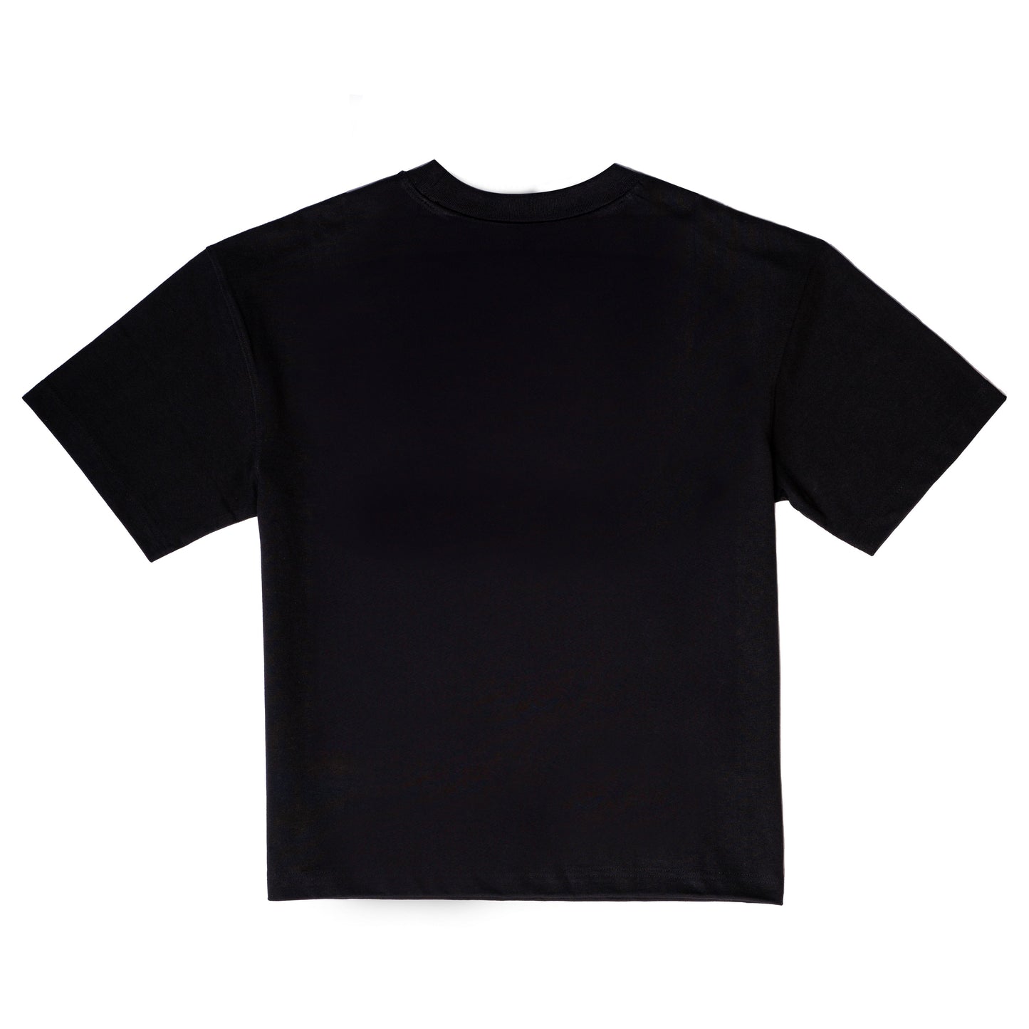 PAIRADISE T-SHIRT BLACK