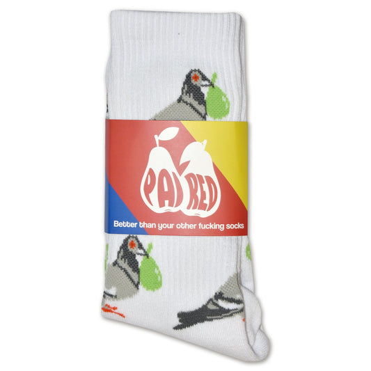 Paired Pigeon